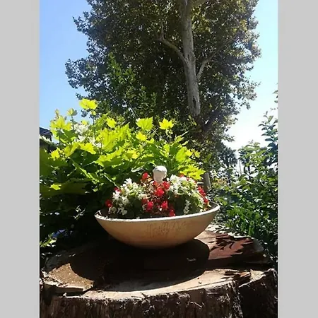 Apartment Sea View Lovran